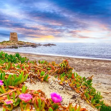 Sunny Terrace Lägenhet *