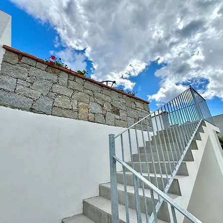 Sunny Terrace